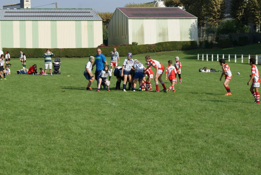 dsc00981